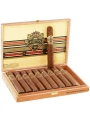 Ashton VSG Robusto Especial — фото 3