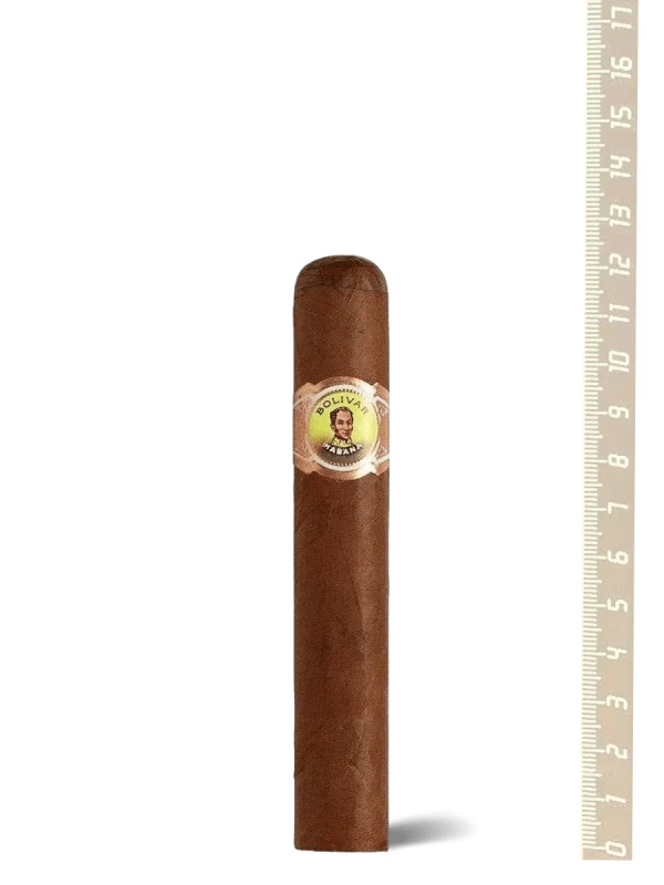 Bolivar Royal Coronas