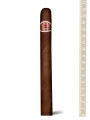 Romeo y Julieta Cazadores — фото 1