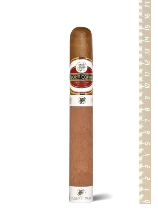 Flor de Copan Toro