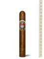 Ashton Heritage Puro Sol Robusto — фото 1