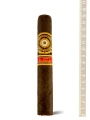 Perdomo 20 th Anniversary Maduro Epicure E 656 — фото 1