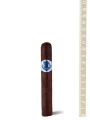 Hirochi Robaina HR Blue Line Petit Edmundo — фото 1