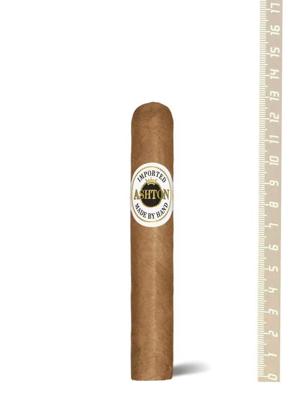 Ashton Classic Magnum Robusto