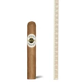 Ashton Classic Magnum Robusto — фото 1