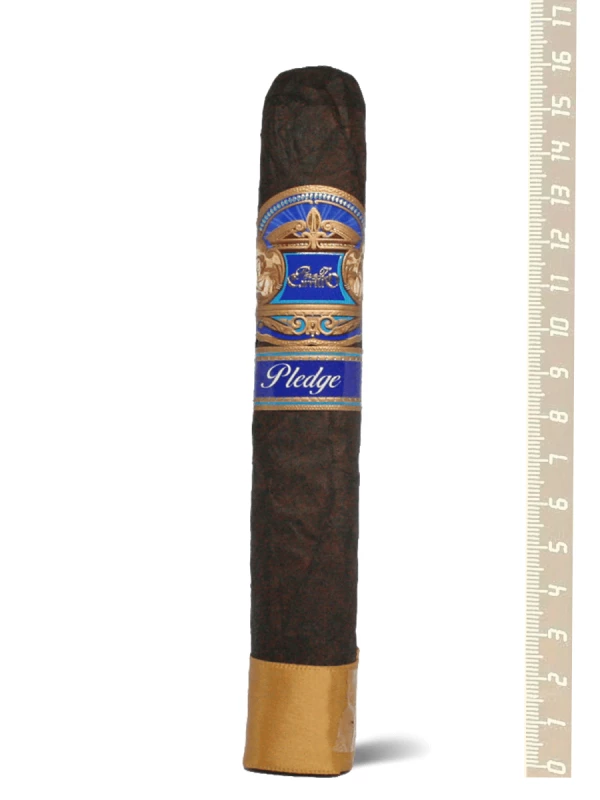 Perez Carrillo Pledge Apogee