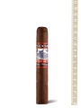 Perdomo Lot 23 Robusto Sun Grown — фото 1