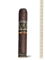 Balmoral Anejo XO Oscuro Gran Toro — фото 1