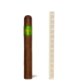 Principle Accomplice Maduro Green Band Robusto — фото 1