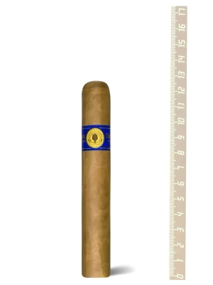Сигары Santa Damiana Classic Robusto