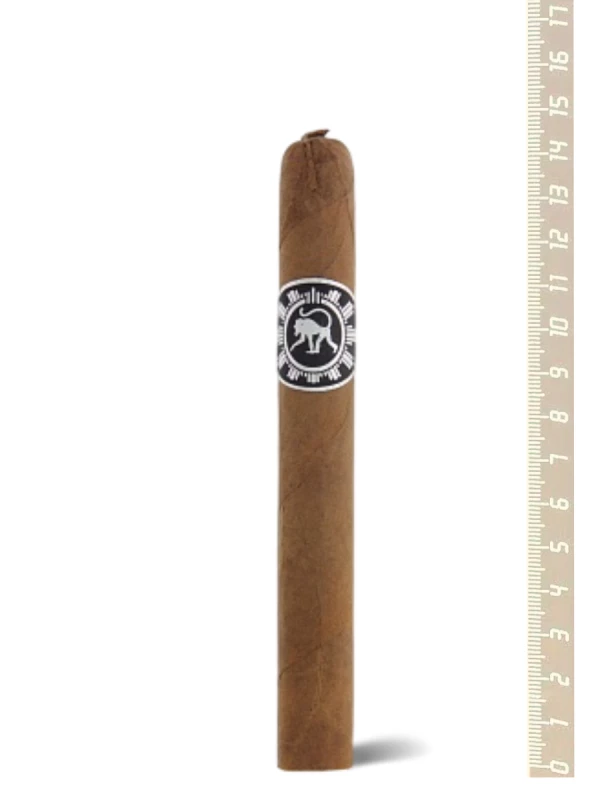 Principle Frothy Monkey Corona Gorda