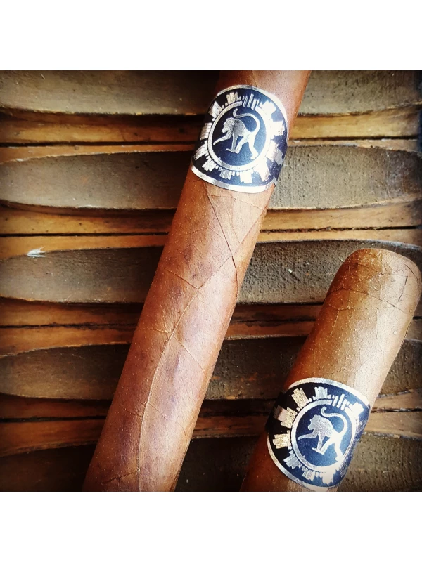 Principle Frothy Monkey Corona Gorda