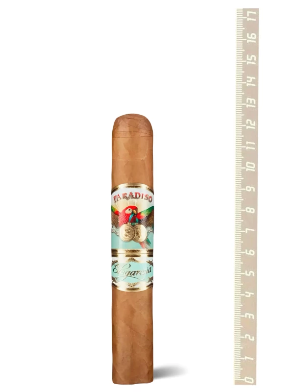 Paradiso Elegancia Robusto