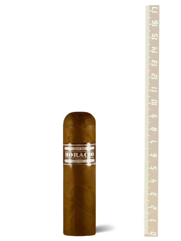 Horacio VIII