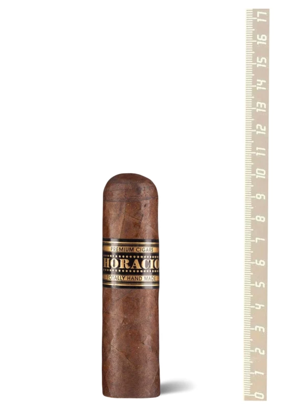 Horacio Maduro VI