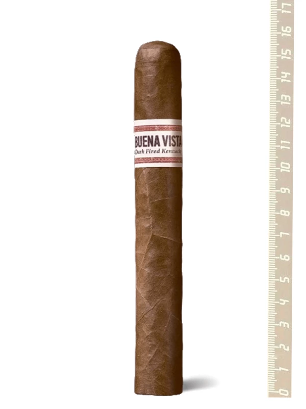 Arnold Andre Buena Vista Dark Fired Kentucky Belicoso