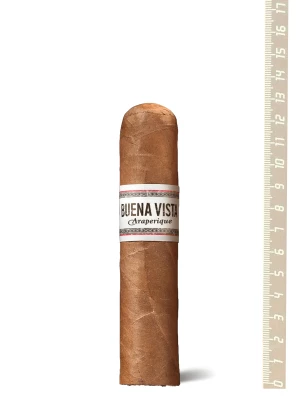 Сигары Buena Vista Araperique Robusto