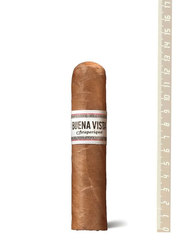 Buena Vista Araperique Robusto