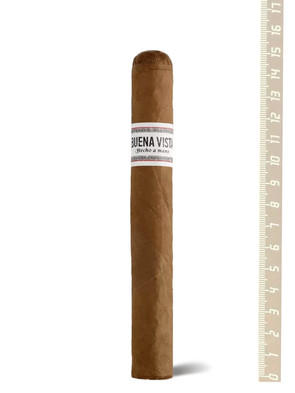 Buena Vista Araperique Toro