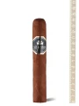 Alfambra Boutigue Cigar Gran Toro — фото 1