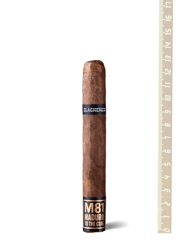 Drew Estate Blackened M81 Robusto