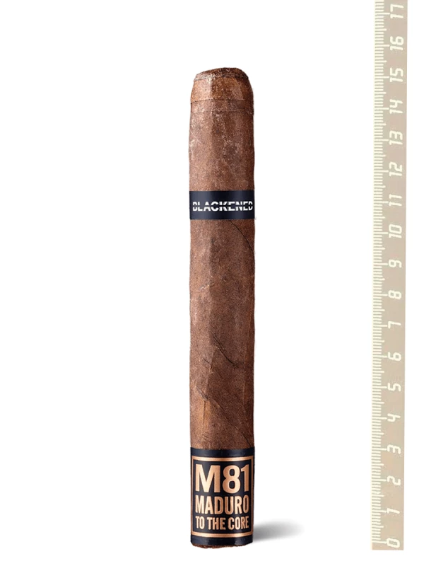 Drew Estate Blackened M81 Toro
