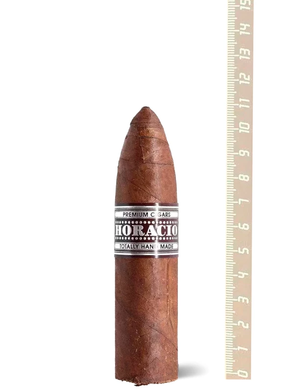 Horacio IV