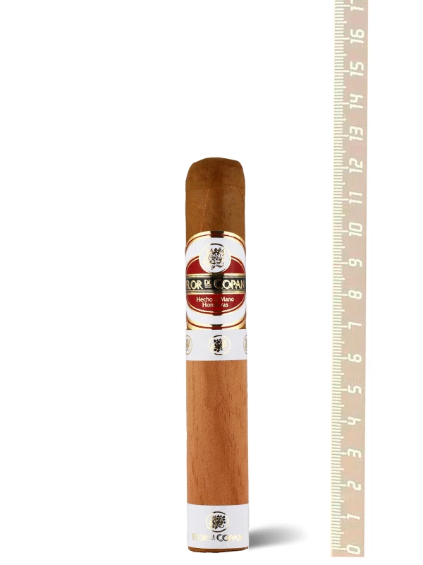 Flor de Copan Rothschild