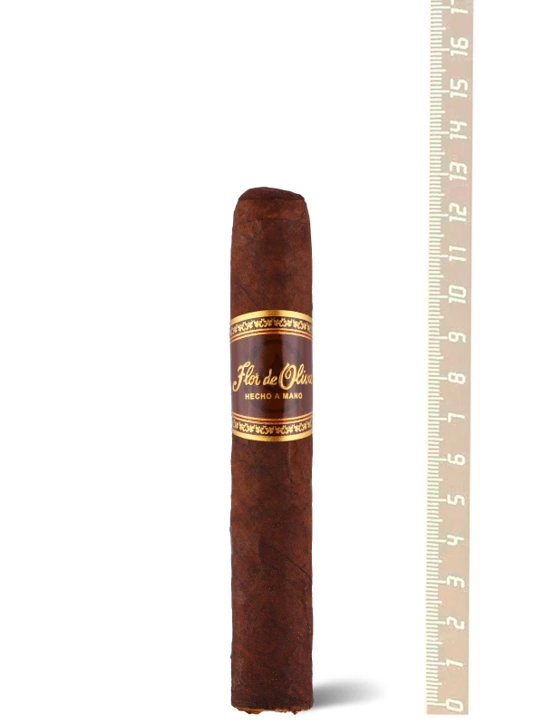 Flor de Oliva Maduro Robusto