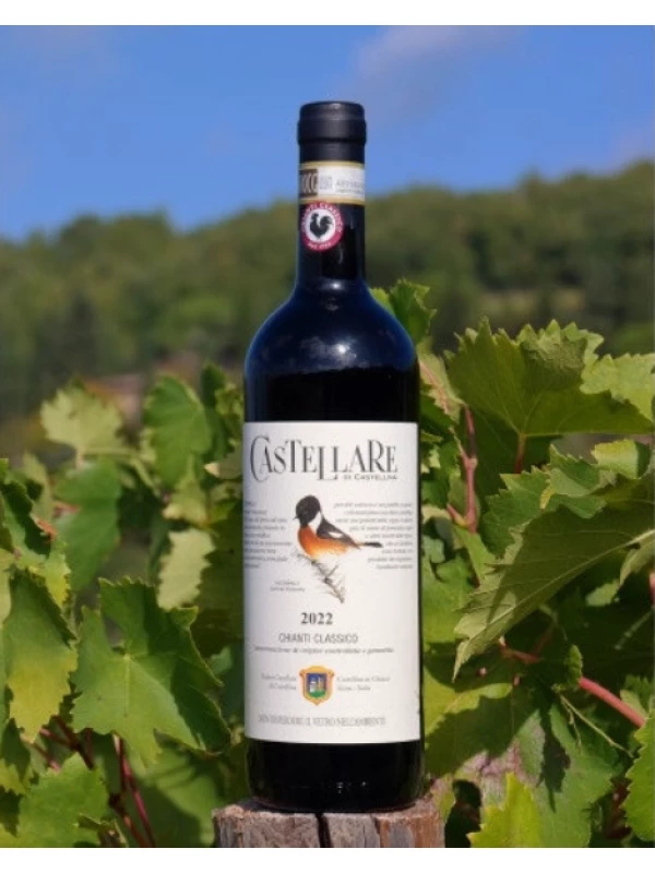 Castellare di Castellina, Chianti Classico DOCG