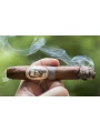 Caldwell The Last Tsar Belicoso — фото 3