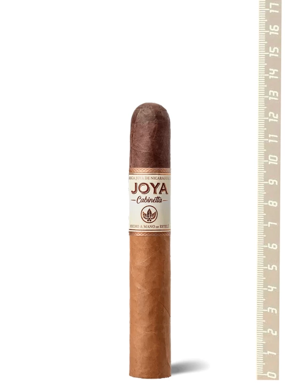 JDN JOYA Cabinetta Robusto