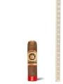 Arturo Fuente Don Carlos The Mans 80th Eye of the Bull — фото 1
