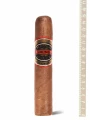 Perdomo Inmenso Seventy Sun Grown Epicure — фото 1