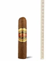 Perdomo Inmenso Seventy Maduro Robusto — фото 1
