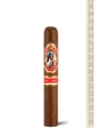 Arturo Fuente God of Fire by Don Carlos Robusto Gordo 54 — фото 1