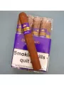 Don Tomas DOM Robusto Bundle — фото 3