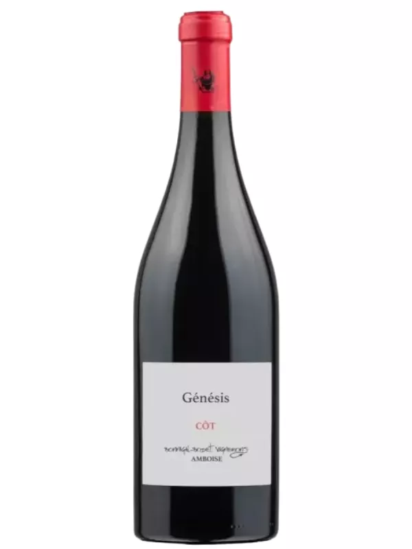 Genesis Bonnigal-Bodet Vignerons