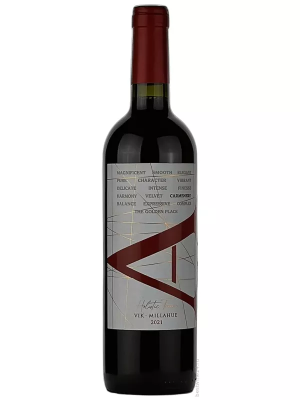 Vik, A Cabernet Sauvignon