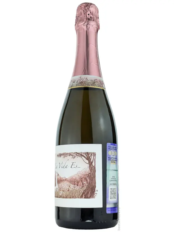 Castelo de Pedregosa, La Vida Es... Brut Rose