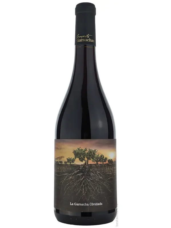 La Garnacha Olvidada de Aragon