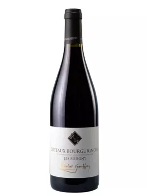 Вино Nicolas Gauffroy, Coteaux Bourguignons Les Busigny AOC Rouge 2023, 0.75 л