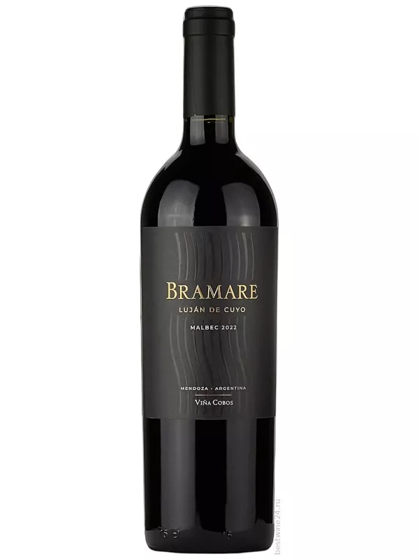 Vina Cobos, Bramare Malbec, Lujan de Cuyo