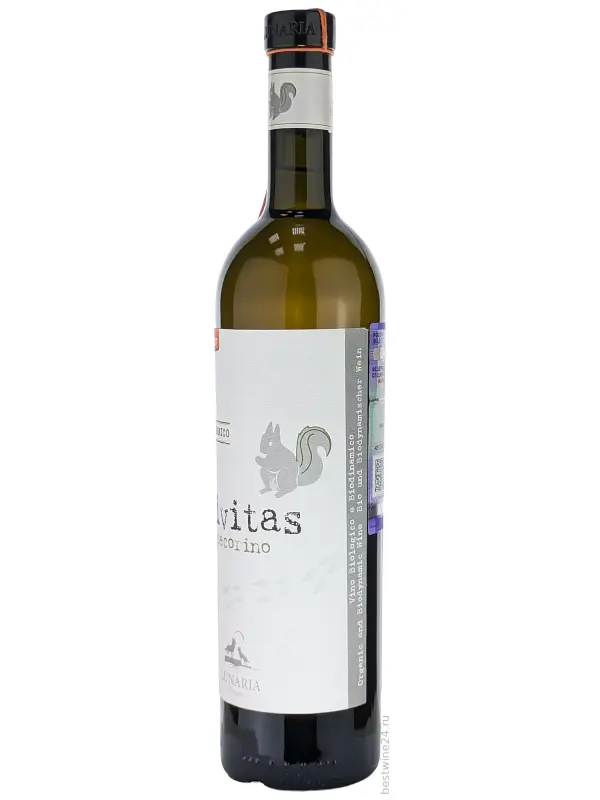 Lunaria, Civitas Pecorino, Terre di Chieti IGT