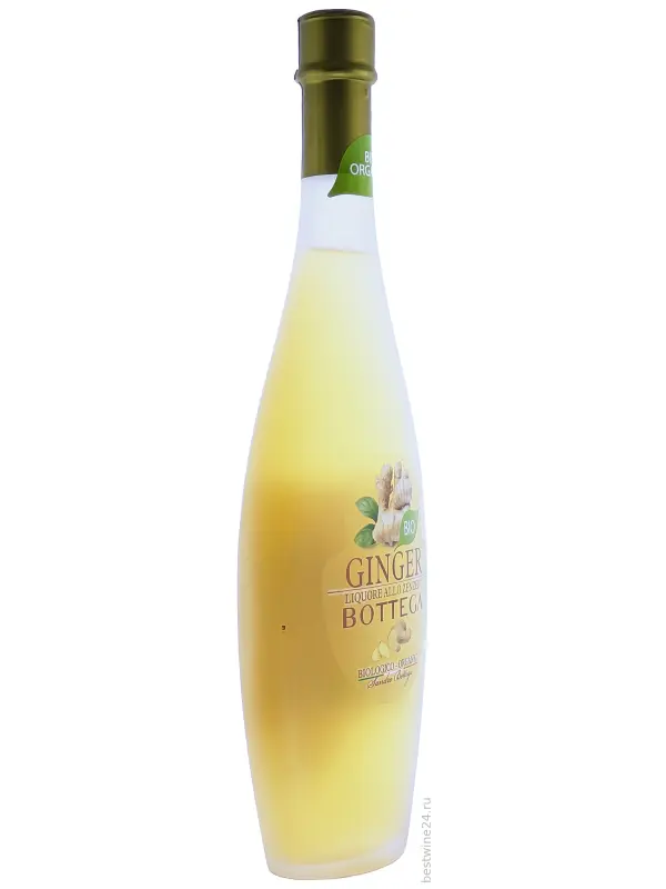 Bottega, Ginger Bio