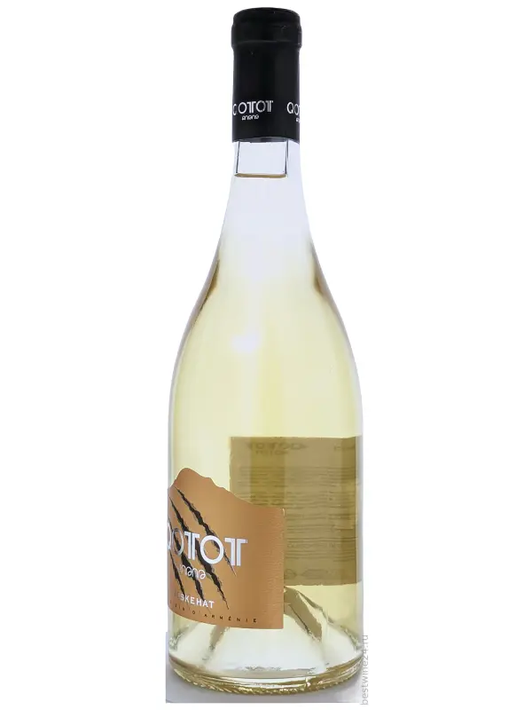 Qotot White