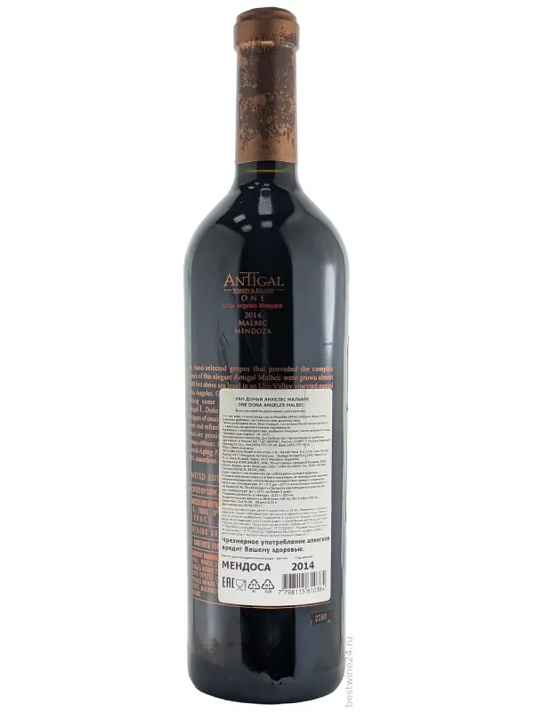 Antigal, One Dona Angeles Vineyard Malbec