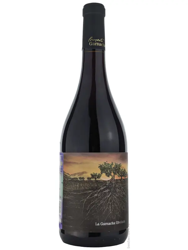La Garnacha Olvidada de Aragon