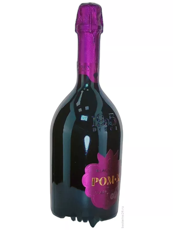 Pom-X Blackberry
