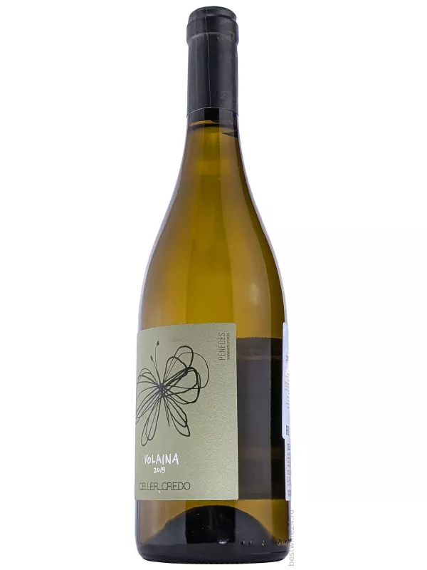 Celler Credo Volaina, Penedes DO